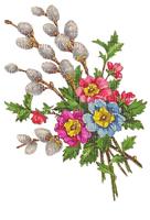 Weidenkätzchen, Primeln, Vintage, Blumen - zdarma png
