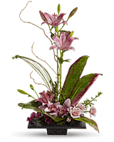 Kaz_Creations  Flowers Vase Plant - png gratuito
