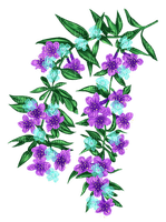 Kaz_Creations Deco Flowers Flower Colours - ücretsiz png