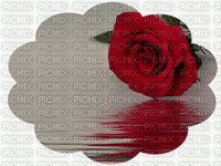 minou-animated-bg-round-red-rose - Gratis geanimeerde GIF