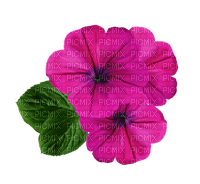 Fleur rose - png grátis