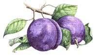 Plums - Free PNG