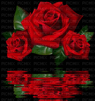 rosas - Ingyenes animált GIF