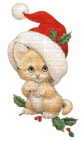 cat,chat, chatte - Free PNG
