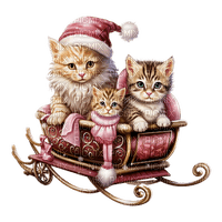 winter cats - PNG gratuit