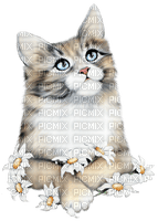 LOLY33 CHAT MAGUERITE - Free PNG