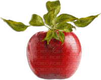 soave deco fruit apple red green - PNG gratuit
