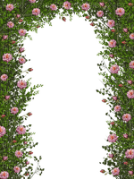 arch with roses - PNG gratuit