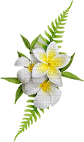 Flower Decoration - ücretsiz png