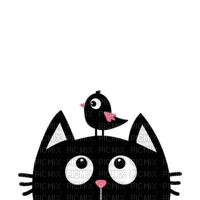 Black cat - 無料png