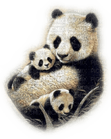 Rena Pandas - gratis png
