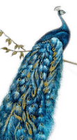 Rena blue Bird Vogel Pfau Peacock - 免费PNG