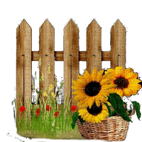 sunflowers fence tournesol clôture - Free PNG