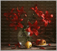 MMarcia gif flores vermelhas red fundo - GIF เคลื่อนไหวฟรี