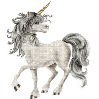 unicorn by nataliplus - 免费PNG