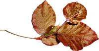 Kaz_Creations Deco Scrap Leaves Leafs - PNG gratuit