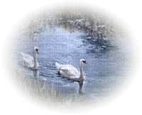 Kaz_Creations Paysage Scenery Swans