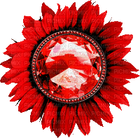 Flower.Red.Animated - KittyKatLuv65 - GIF เคลื่อนไหวฟรี