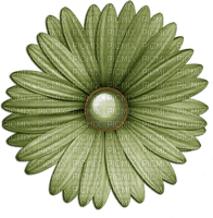 green-flower-deco-minou52 - png grátis