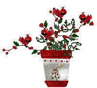 MMarcia gif vaso flor vermelha