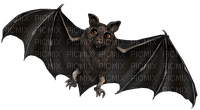 Bat.Black - PNG gratuit