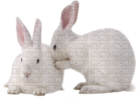 patymirabelle animaux lapins - Free PNG