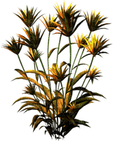 planta - nemokama png