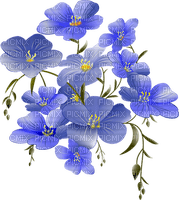 kukka fleur flower - Free PNG