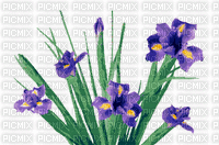 picmix - Gratis geanimeerde GIF