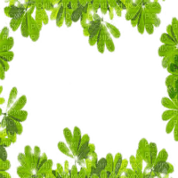 spring leaves frame - png gratuito