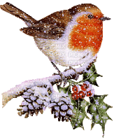 winter bird snow garden oiseau neige hiver - GIF เคลื่อนไหวฟรี
