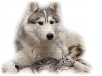 Kaz_Creations Animals Wolves - png ฟรี