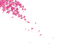 nbl-blossom - Ilmainen animoitu GIF