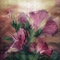 hintergrund db - Δωρεάν κινούμενο GIF