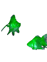 Рыба - 無料のアニメーション GIF