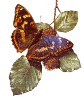 All  my butterflys - 免费PNG