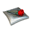 Rose for You - GIF animado gratis
