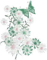 soave deco spring flowers branch butterfly - Gratis animeret GIF