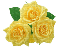 Yellow roses - png gratis