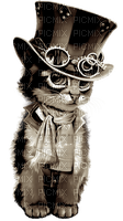 Steampunk Kitten brown - png grátis