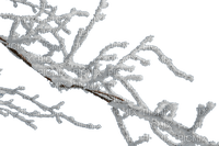 winter snow branch tree - PNG gratuit