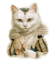 chat cat - ücretsiz png