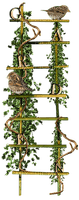 Kaz_Creations Ladders - Free PNG