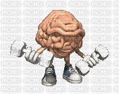 cerveau - 免费动画 GIF