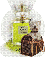 chien & parfum - Безплатен анимиран GIF