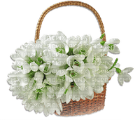 soave deco flowers spring snowdrops basket - безплатен png