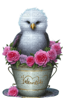 Cup Flower Rose Bird - Bogusia - png gratuito