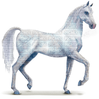 cheval Givre - Free PNG