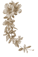 soave deco branch animated flowers  sepia