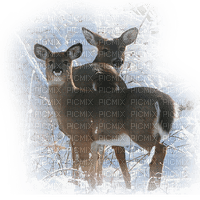 ciervos dubravka4 - PNG gratuit